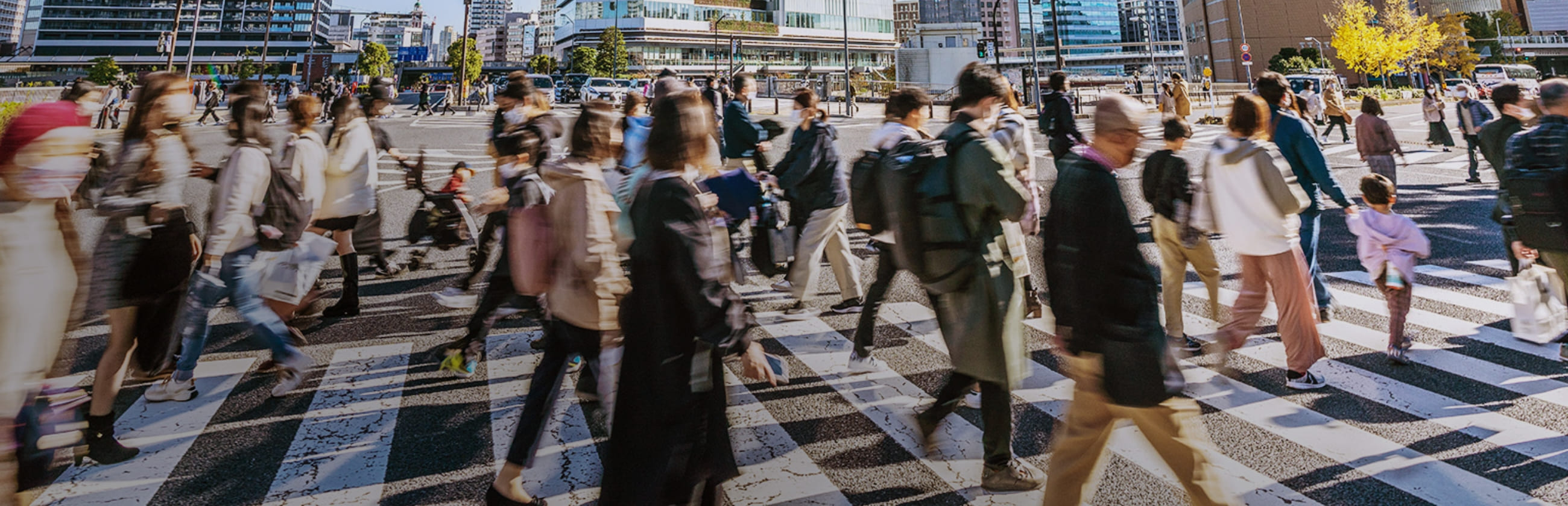 お知らせ・ニュース